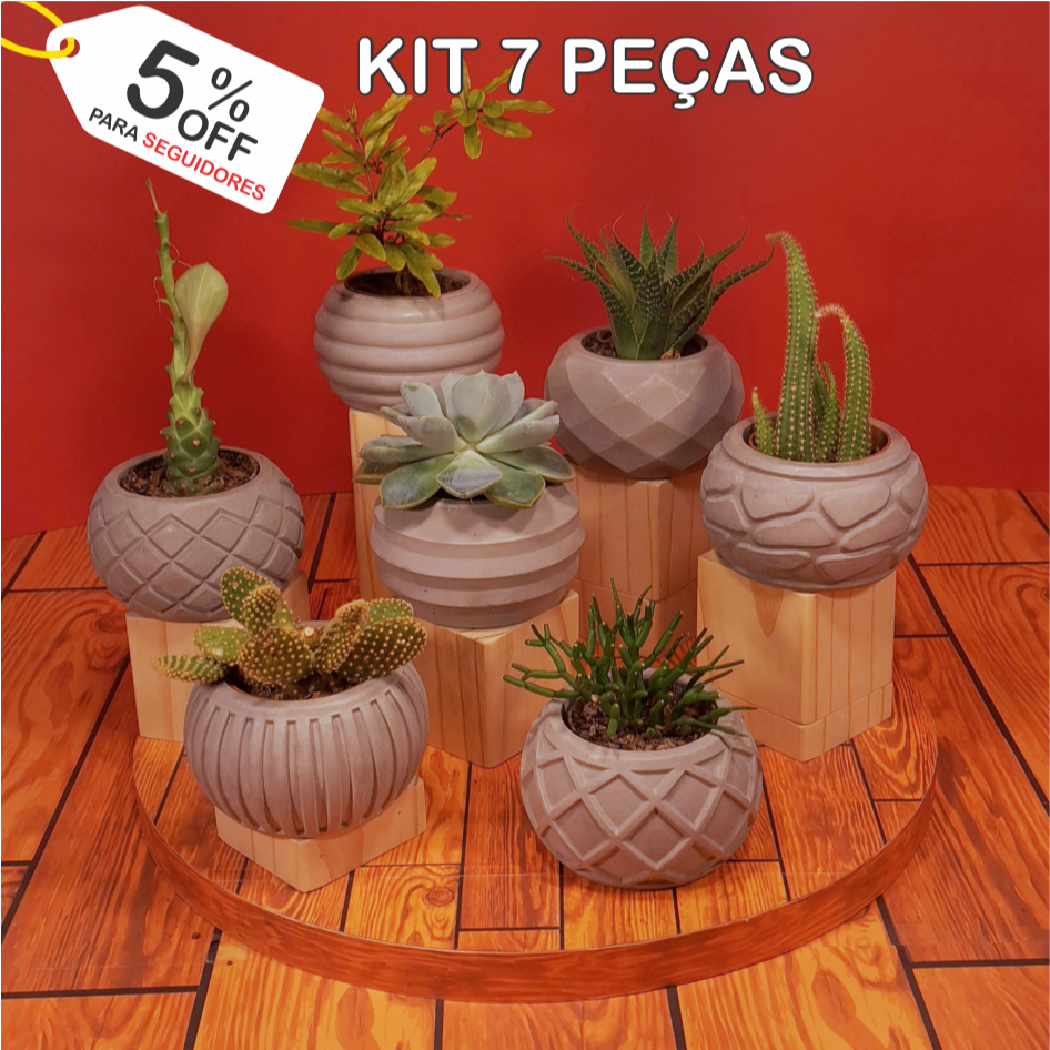 O que é Pote 7 para Suculentas? Guia e Onde Comprar | BuscaProdutos