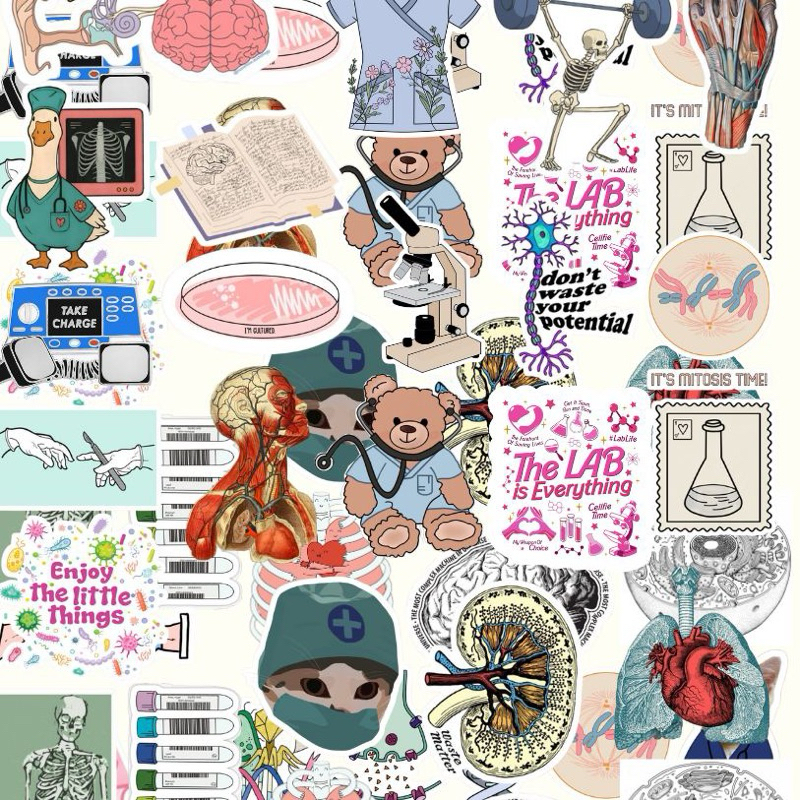 🩺🔬 Kit de Adesivos – Saúde • Anatomia • Medicina • Enfermagem • Biomedicina • Lab Life 🔬🩺