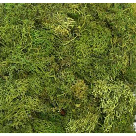 Musgo Artificial Fofão 40 g em Oferta na Shopee