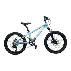 Bicicleta Infantil Colli Dublin Sport 7v Aro 20 Freio Disco