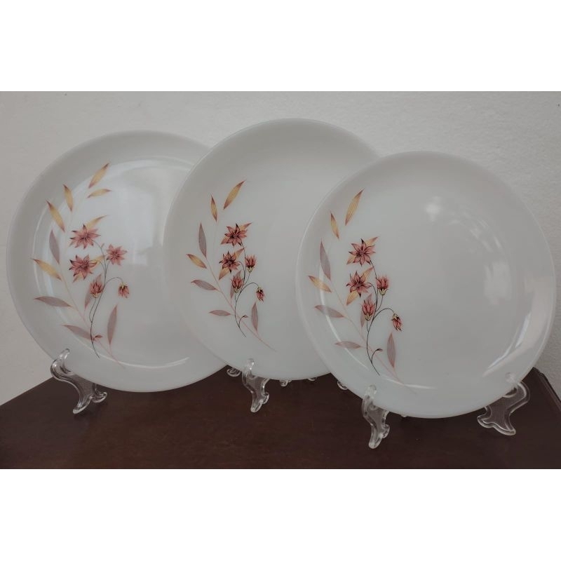 O que é Prato Antigo Colorex? Guia e Onde Comprar | BuscaProdutos