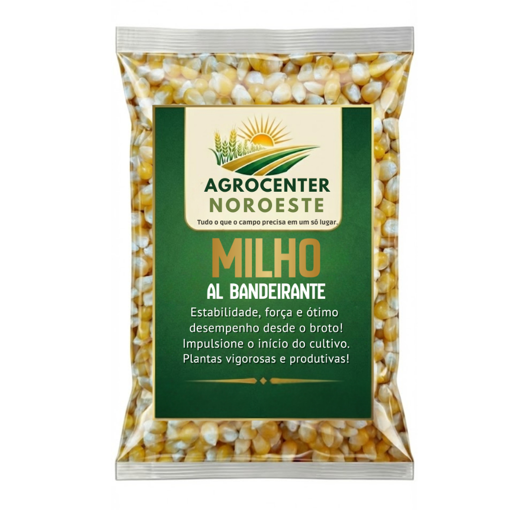 Sementes de Milho AL Bandeirante | Agrocenter Noroeste | Milho Estável e Rústico