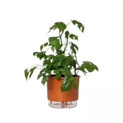 Vaso Autoirrigável Grande N04 21cm x 19cm - Terrazzo Terracota