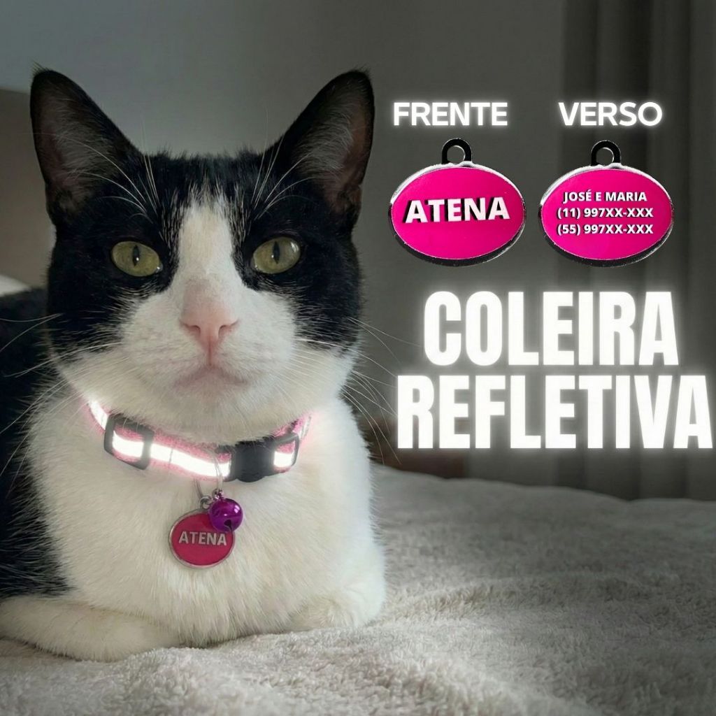 Coleira gato REFLETIVA ANTI ENFORCAMENTO com plaquinha identificação gravada NOME