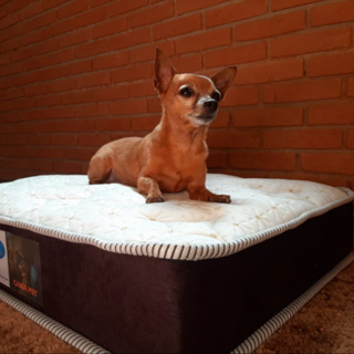 Cama para cachorro-caminha para cachorro sob medida - colchão para pet - 90x50x8cm em Oferta na Shopee