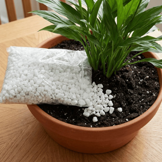 Pedrisco Pedrinha Branca 1kg até 20kg para Jardim Aquário Vaso de Planta Decoração de Calçada em Oferta na Shopee