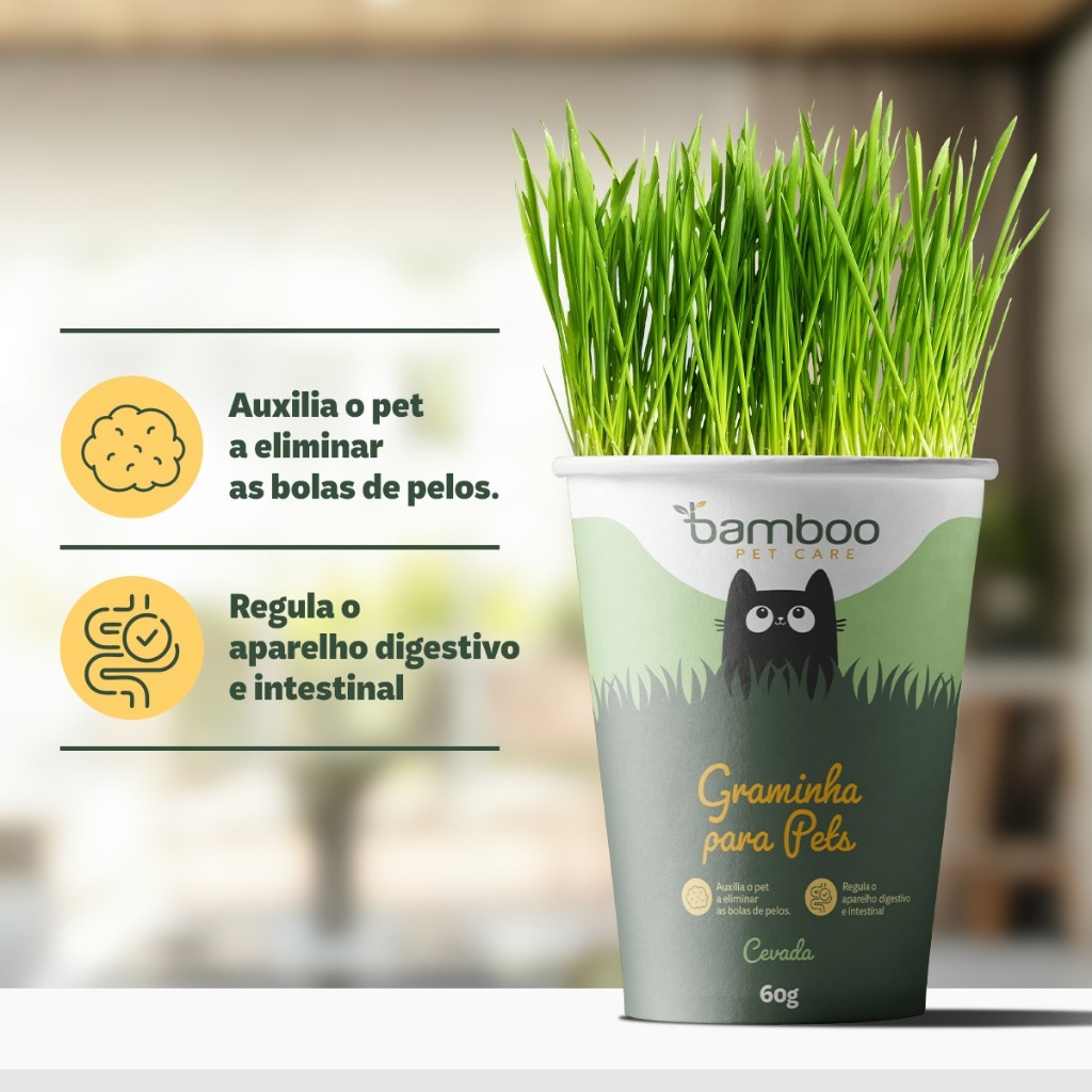 Graminha Para Gatos Vaso Bamboo Cevada Digestiva Natural 60g
