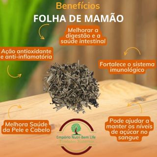 Chá de Folha de Mamão - Nome Cientifico : Carica Papaya em Oferta na Shopee