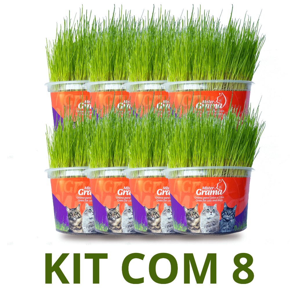 Grama Para Gato Mister C/ 8 Unidades – Auxilia na Digestão e Bola de Pelo / Fácil de Plantar