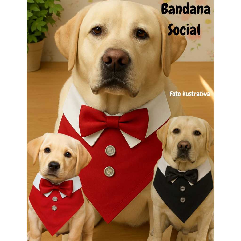 Bandana Social Para Pet com Gravata Borboleta Cachorro Festa Estiloso em Oferta na Shopee
