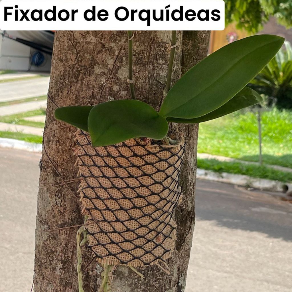 Kits  6, 12 e 24 Fixador para Orquideas, suporte para plantas premium com Tela, sphagno, barbante e Juta na medida certa