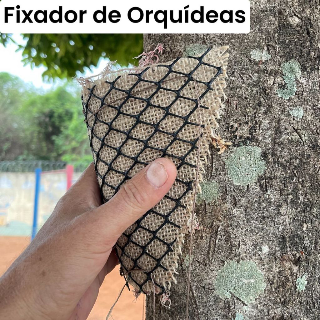 Kits  6, 12 e 24 Fixador para Orquideas, suporte para plantas premium com Tela, sphagno, barbante e Juta na medida certa