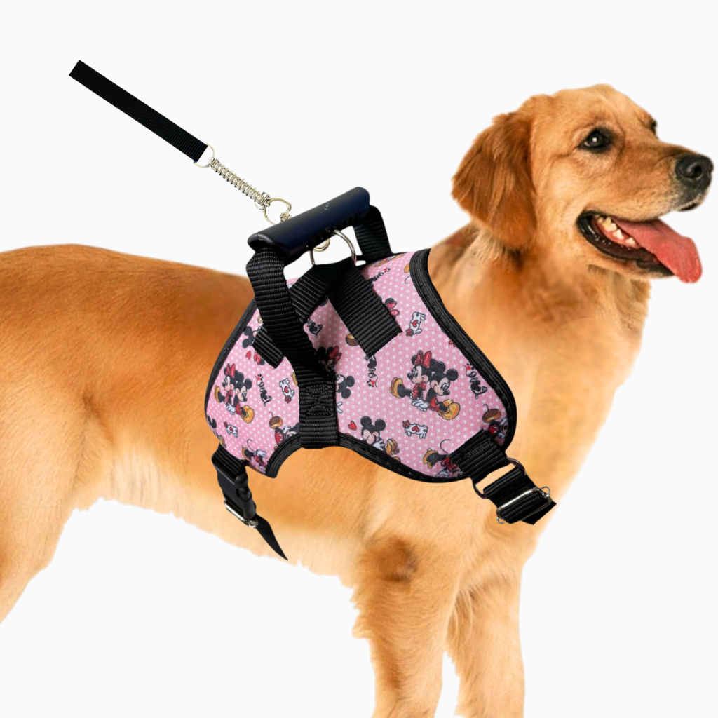 Coleira Peitoral para cachorro pequenos e médios com guia para pet colete confortável