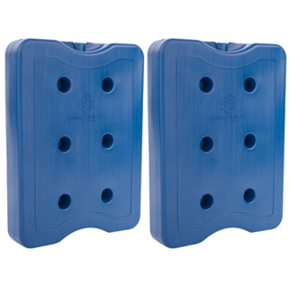 Kit 2 Gelo Placa Gel Artificial Reutilizável Rígido 2000ml em Oferta na Shopee