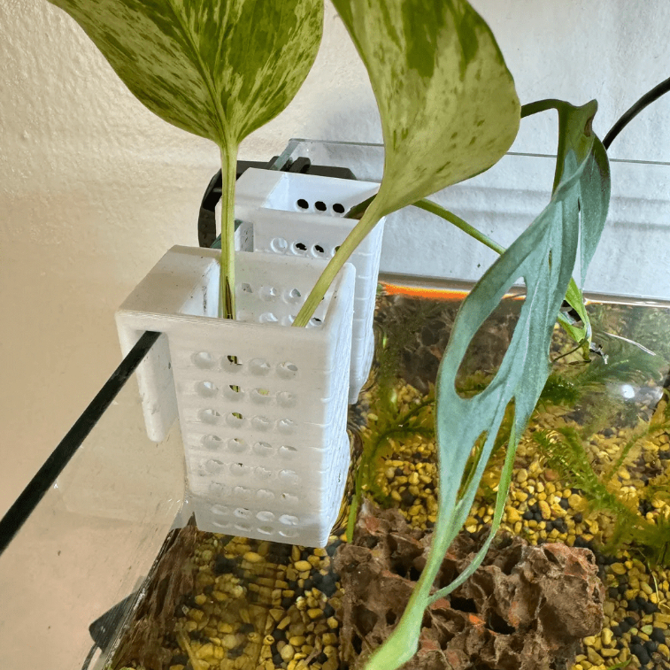 Suporte Plantas de Aquário – Vaso Planta de Aquário Hidroponia em Oferta na Shopee