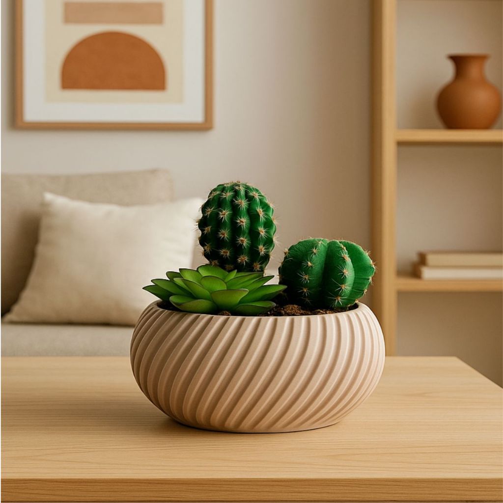 Vaso com Arranjo Mini Suculenta e Cactus para Sala, Mesa ou Escritório em Oferta na Shopee