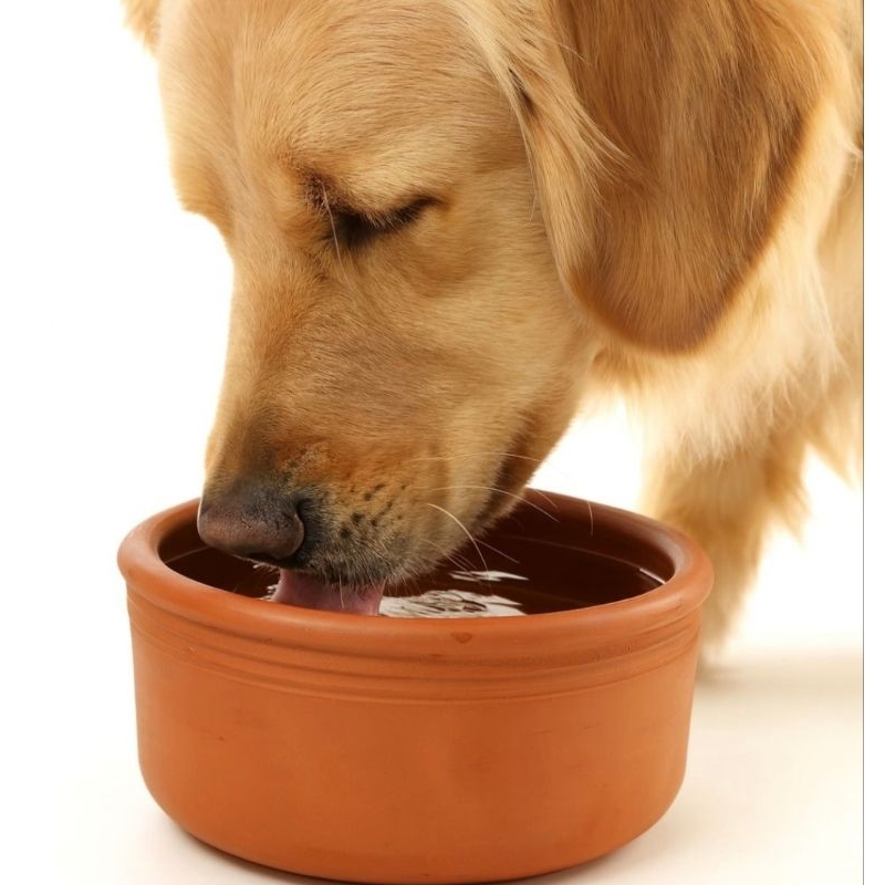 Bebedouro de Barro para Cães e Gatos Totalmente Artesanal em 8 Tamanhos em Oferta na Shopee