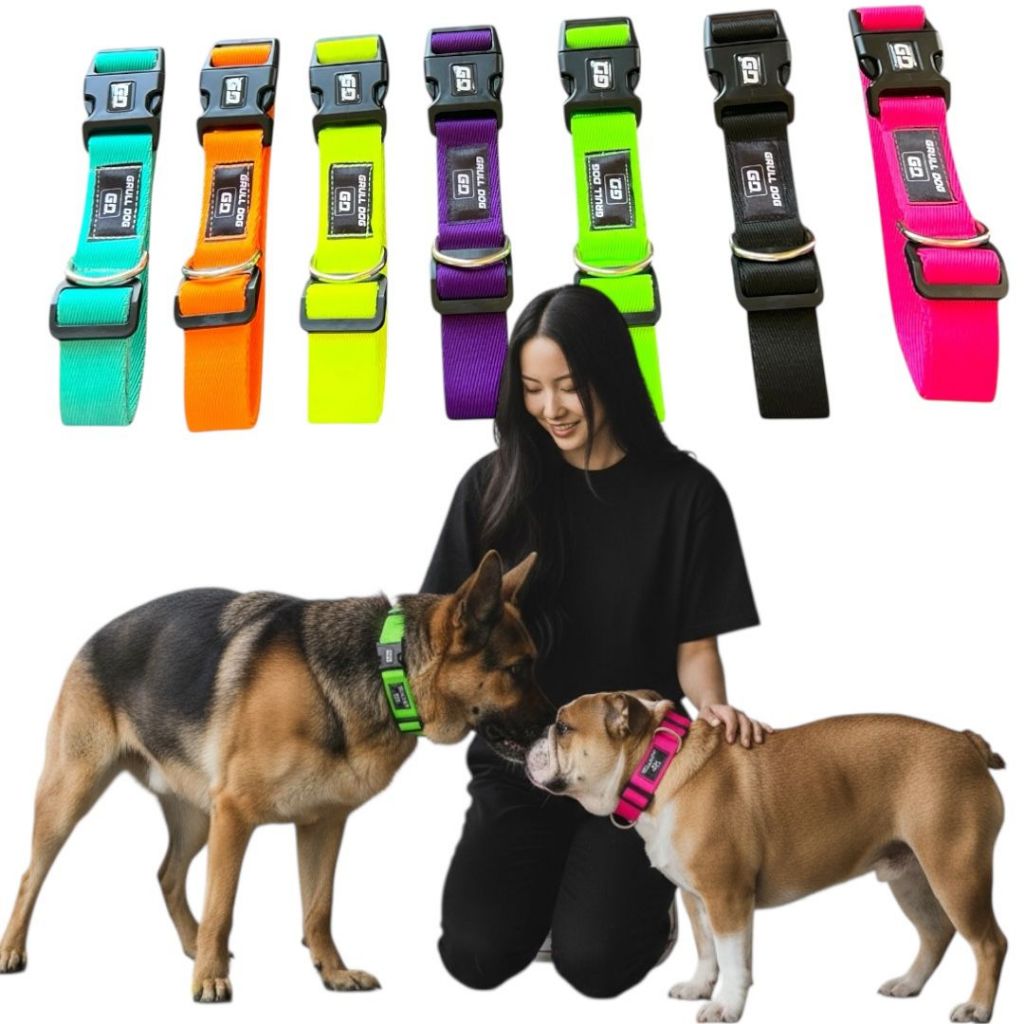 O que é Coleira Adestramento Cachorro Grande? Guia e Onde Comprar | BuscaProdutos