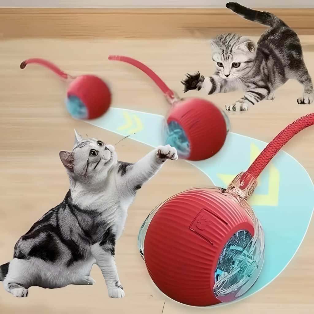 Brinquedo Automático Pet Bola Inteligente, Interativo para Cães e Gatos Pequeno Porte Recarregável