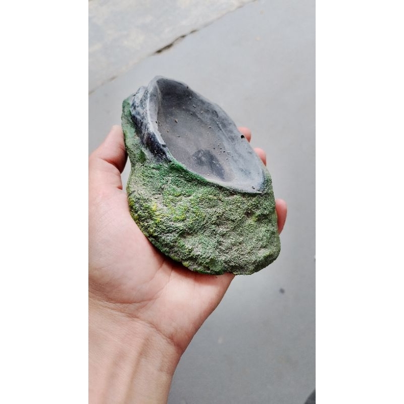 Base para comida de jabutis,tartarugas,tigresdaagua