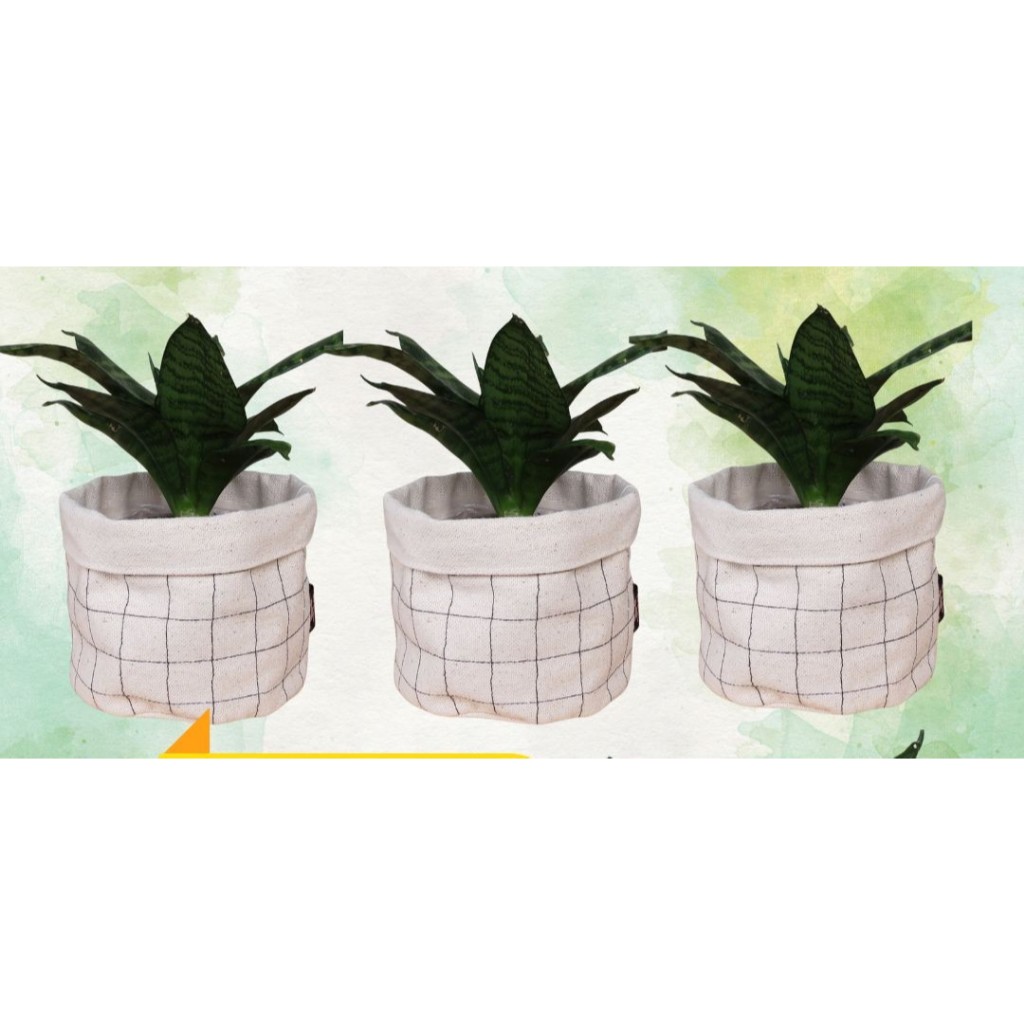 kit D:10 ou D:08 - Cachepô / Vaso / Cesto Dupla Face de tecido