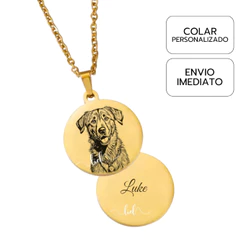 Colar Medalha Personalizada Pet Foto Realista Lápis Frase Frente Verso Aço Inoxidável Gato Cachorro