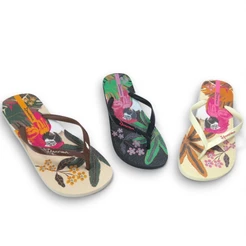 Chinelo Feminino Ipanema Orla 27036