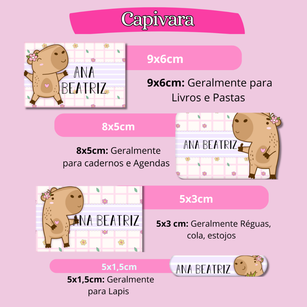 ETIQUETA ADESIVO ESCOLAR CAPIVARA PERSONALIZAMOS VARIOS TEMAS