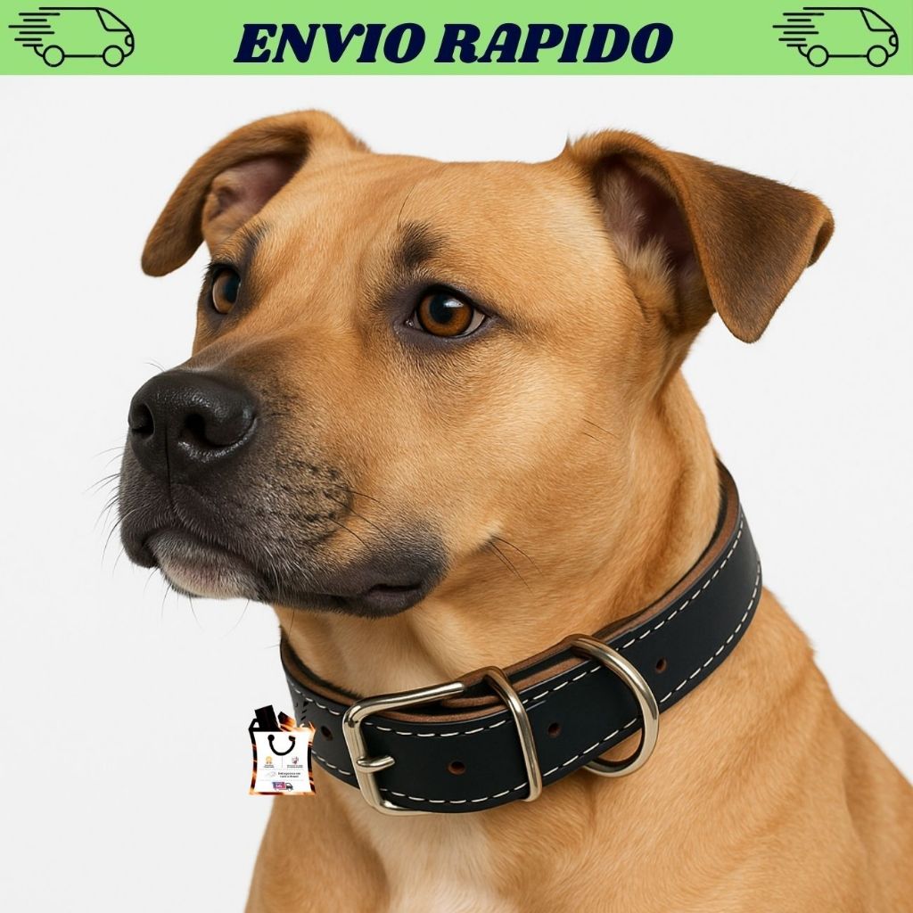 Coleira Cachorro Grande Couro Reforçado Com Ajuste Promoção