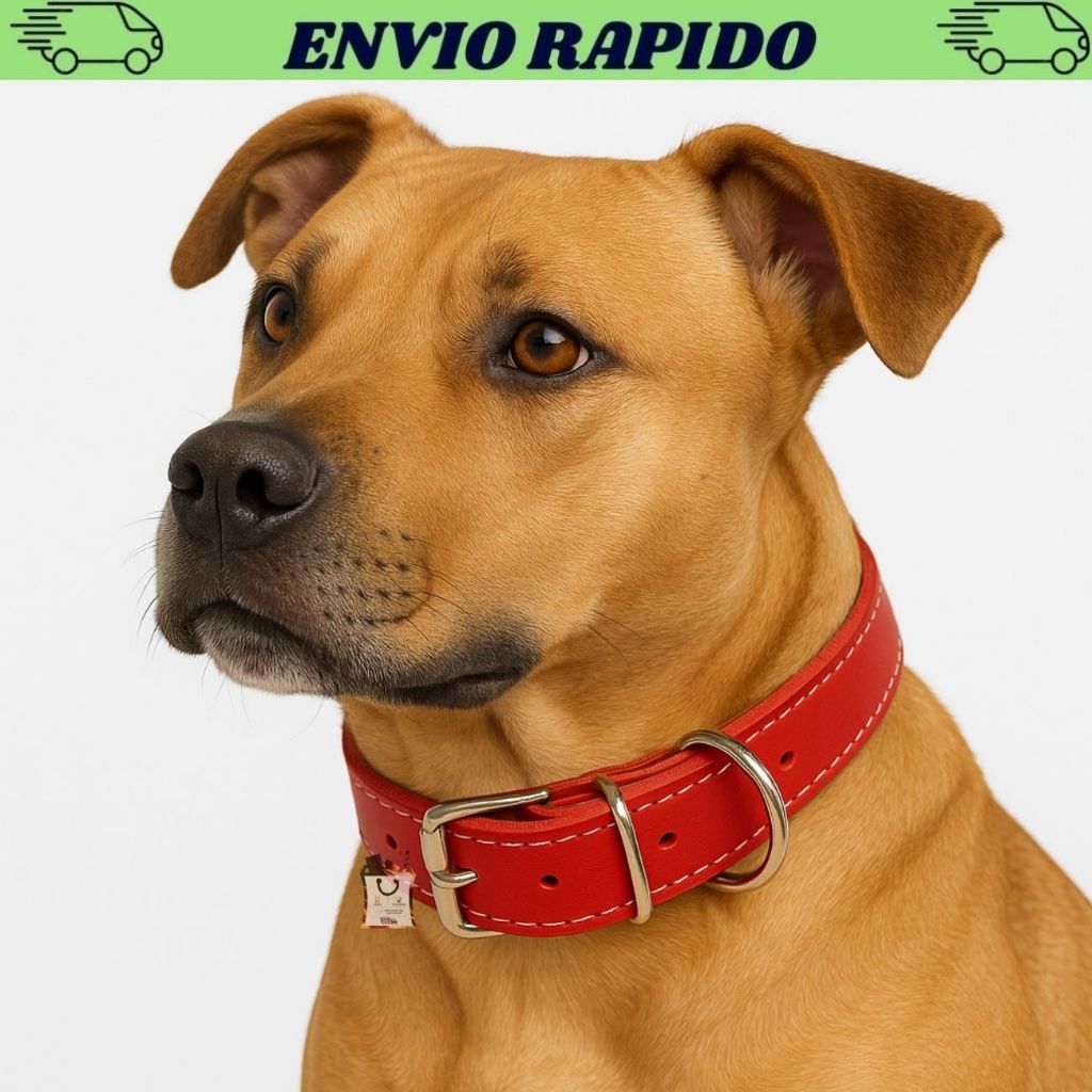 Coleira Couro Cachorro Fina Reforçada Ajustável com Forro Promoção Imperdível ENVIO 24h. em Oferta na Shopee