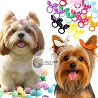 Kit Xuxinha Laço + Xuxinha Pompom Pet Banho e Tosa Penteado Acessórios Cães Yorkshire Shitzu Elástico Moda Prendedor em Oferta na Shopee