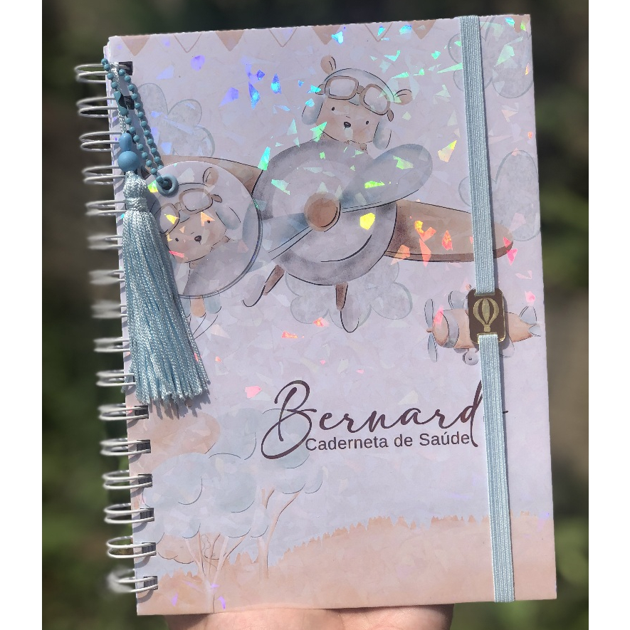 Caderneta de Saúde Infantil Personalizada A5 | SUS Atualizado | Capa Dura | Ursinho Aviador