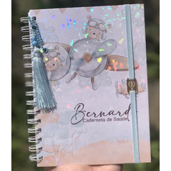 Caderneta de Saúde Infantil Personalizada A5 | SUS Atualizado | Capa Dura | Ursinho Aviador