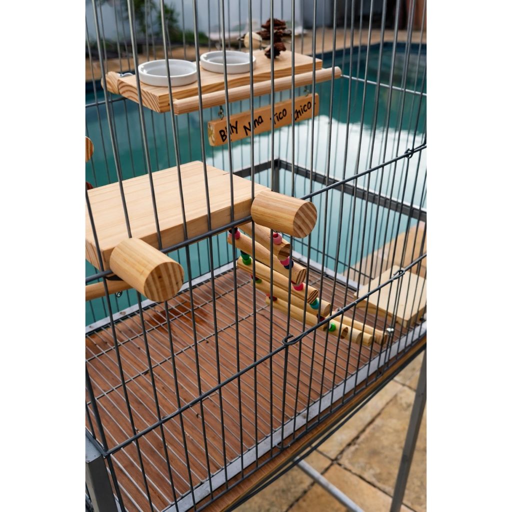 Brinquedo de Escada para Aves: Onde Comprar | BuscaProdutos