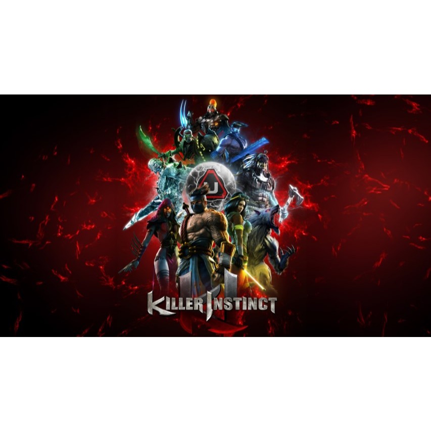Painel Killer Instinct Game Jogo retangular de lona para decoração de festa de aniversário infantil. Várias medidas.
