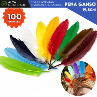 Penas de Ganso Macio - Pluma De Cisne Natural Com 100 Unidades - NL em Oferta na Shopee