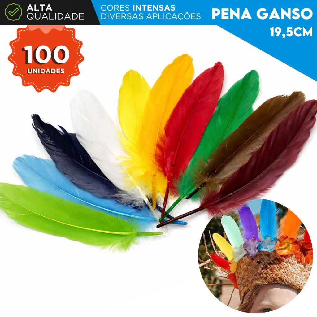Penas de Ganso Macio - Pluma De Cisne Natural Com 100 Unidades - Aero