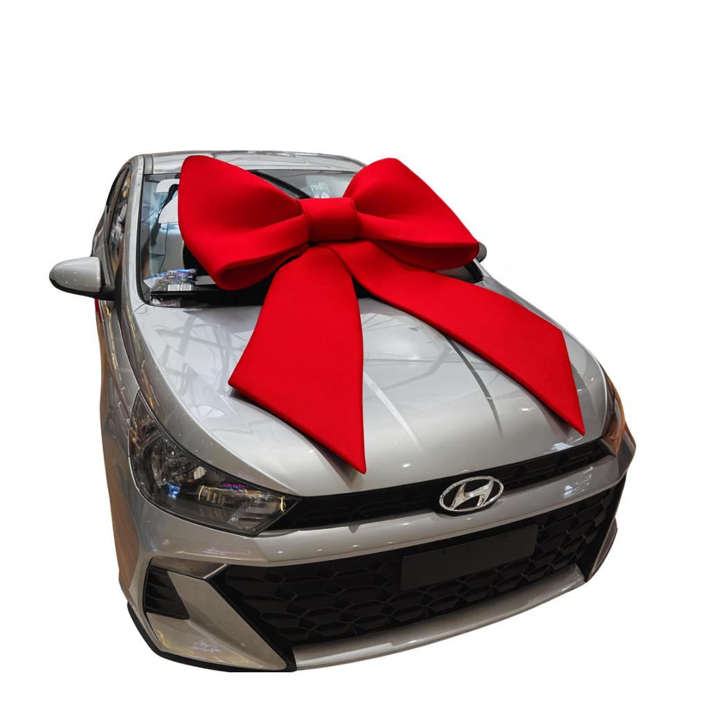 Laço Automotivo Gigante 1 Metro Concessionária de automóveis em Oferta na Shopee