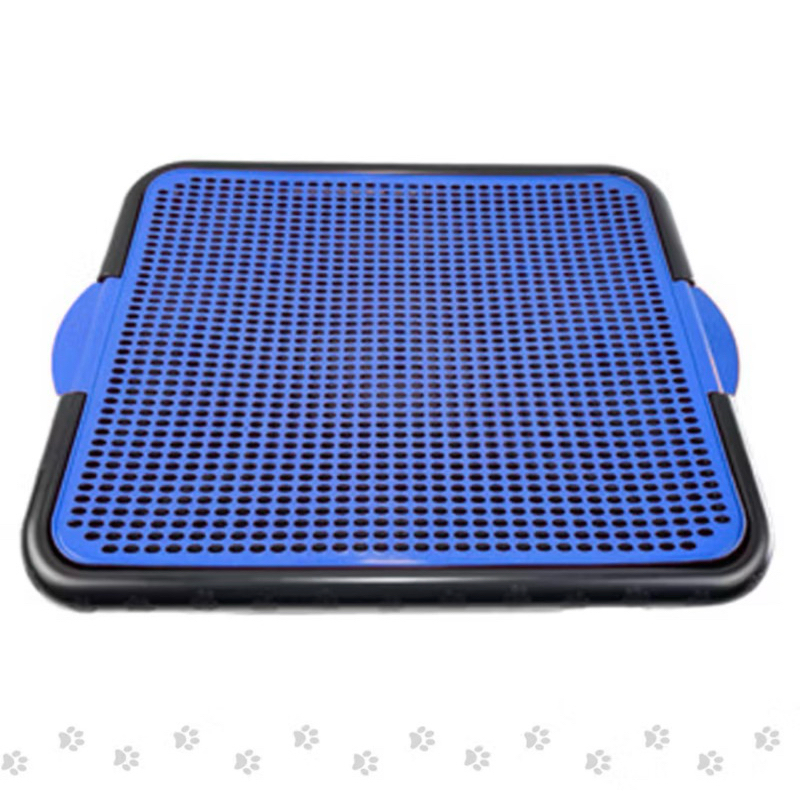 Tapete Sanitário Canino Higiênico Banheiro Educa Pet Tapete lavável  Banheiro Pet