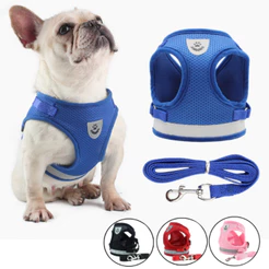 Coleira Peitoral Pet Com Guia Ajustável Cachorro Gato Conforto Segurança Passeio Treinamento