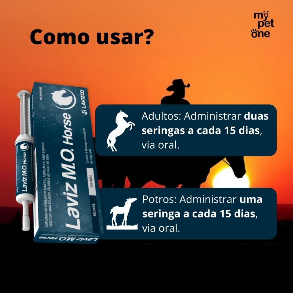 Detalhes do Kit 2 Laviz M.O Horse 2x40g Suplemento -  Lavizoo