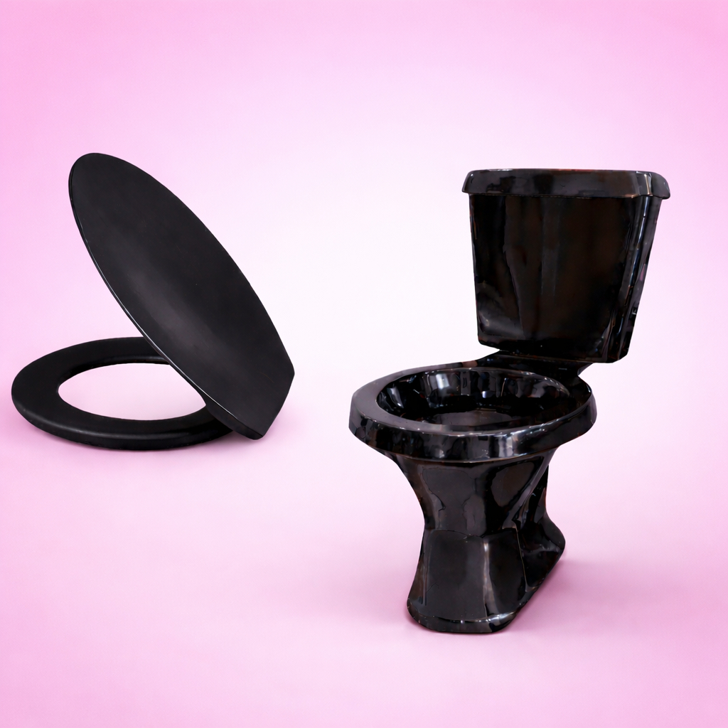 Bacia vaso e Caixa acoplada Araxa Preto Com Assento Preto