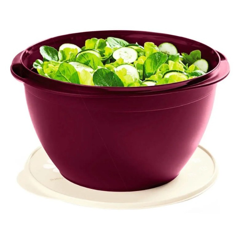 Tigela Bacia Actualité 10L Bordeaux Vinho Tupperware Original Tupper
