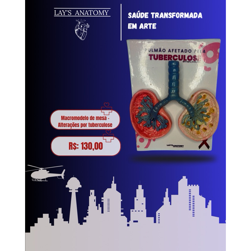 Macromodelo didático - Simulador de pulmões