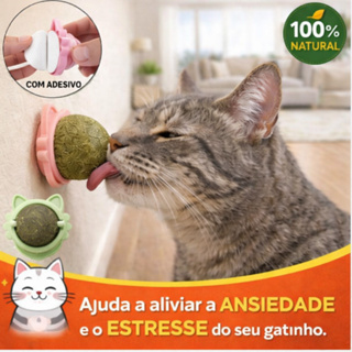 Bolinha Catnip para Gatos Rotativa Parede Erva Natural Ajuda a Aliviar Ansiedade em Oferta na Shopee