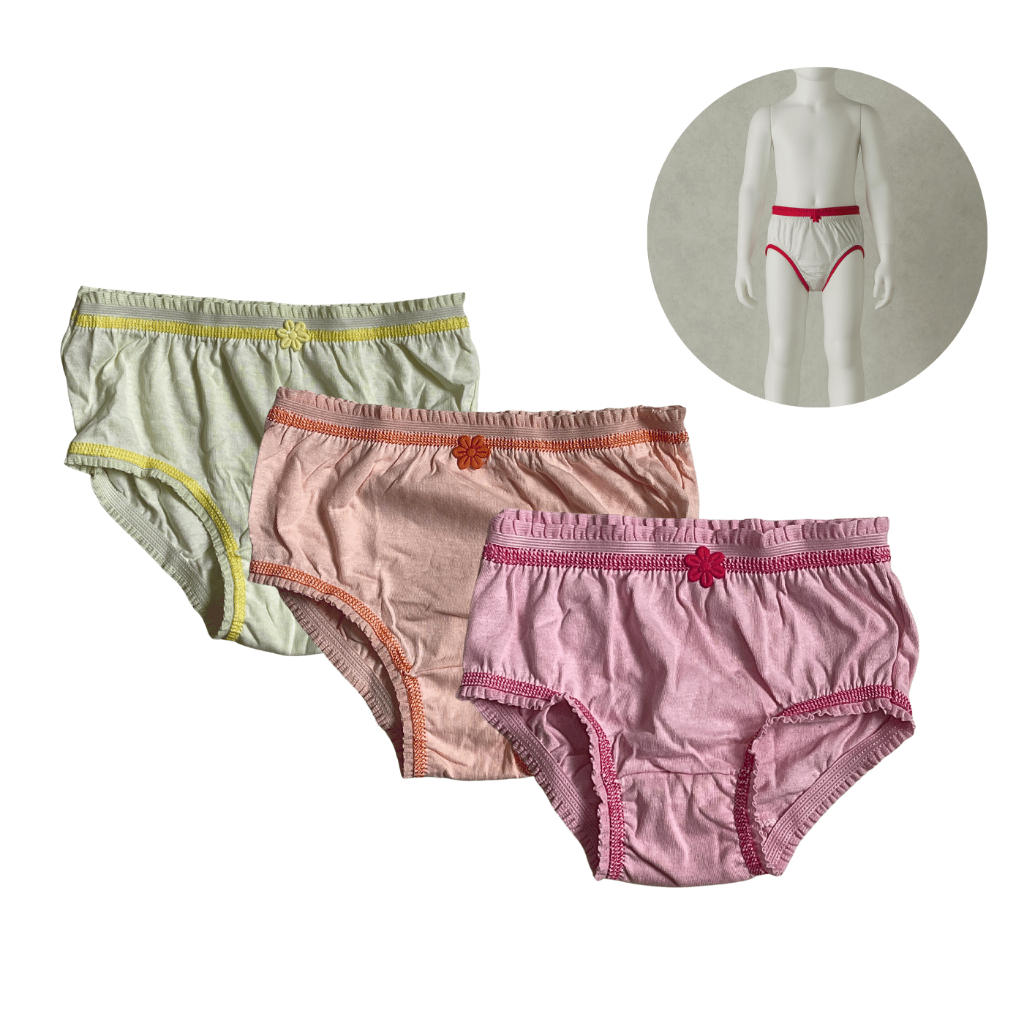 Kit 3 Calcinhas Kellynha Estampa Lisa com Bordado Infantil Juvenil Tamanho 14 100% Algodão Confortável