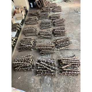 50 Ramas de Mandioca, MANIVA EMBRAPA, Amarela, Selecionadas. em Oferta na Shopee