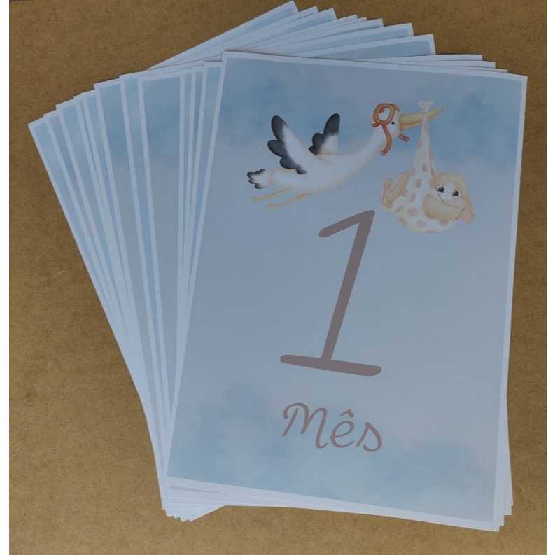 Kit mesversario para fotografar os doze meses do bebê Imagens fofas de alta qualidade