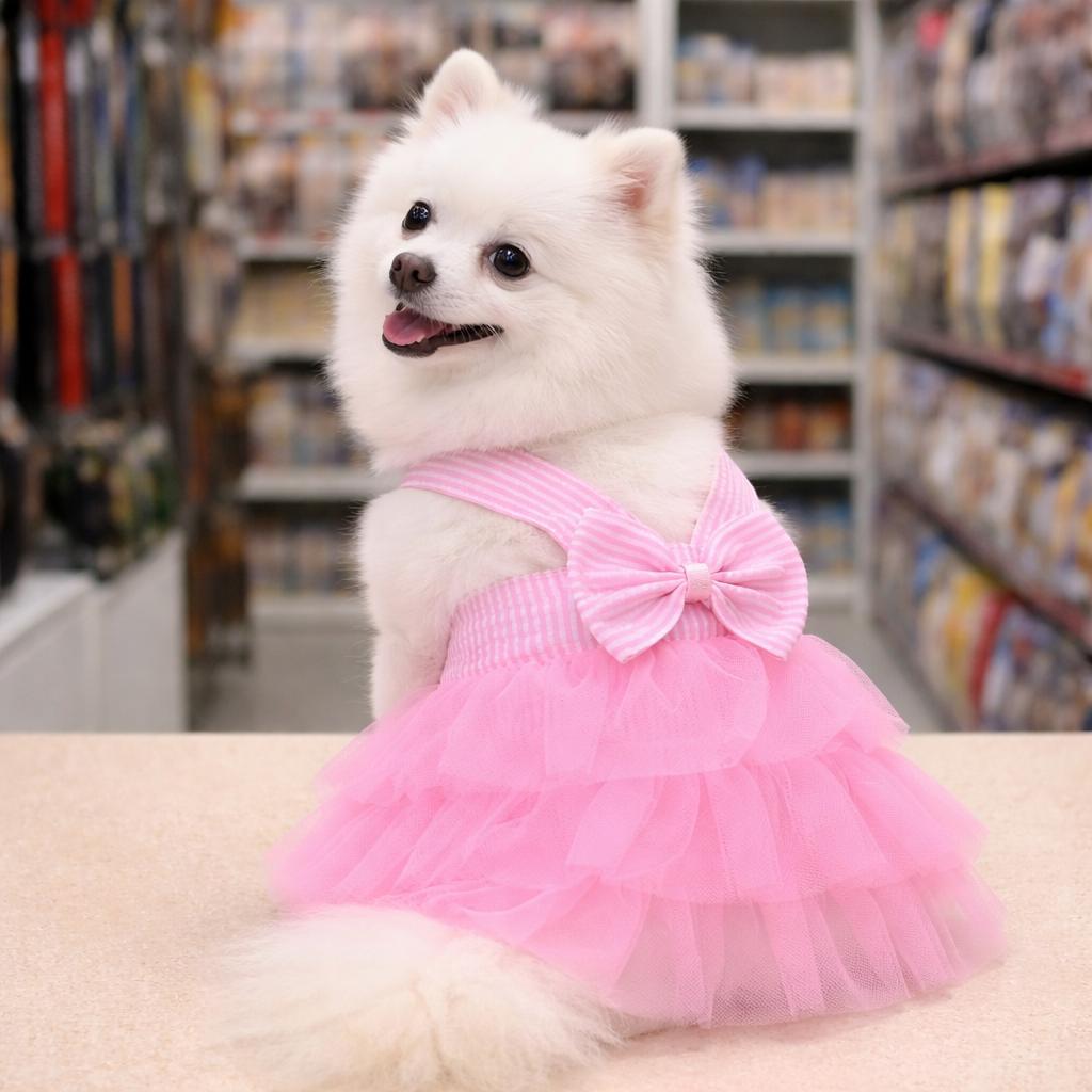 Vestido para Pets Look Luxo de Festa Verão para Cães e Gatos Vestido com Tule Princesa em Oferta na Shopee