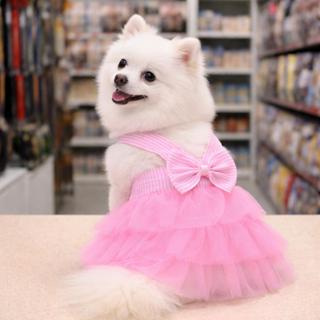 Vestido para Pets Look Luxo de Festa Verão para Cães e Gatos Vestido com Tule Princesa em Oferta na Shopee